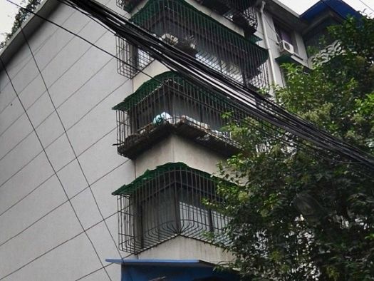 石人西路33号院实景图