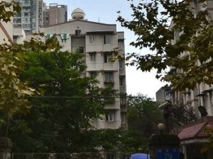 平景苑东区 3室2厅 南