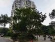 泰基北锦实景图