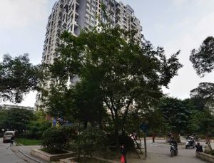 泰基北锦3室2厅东南