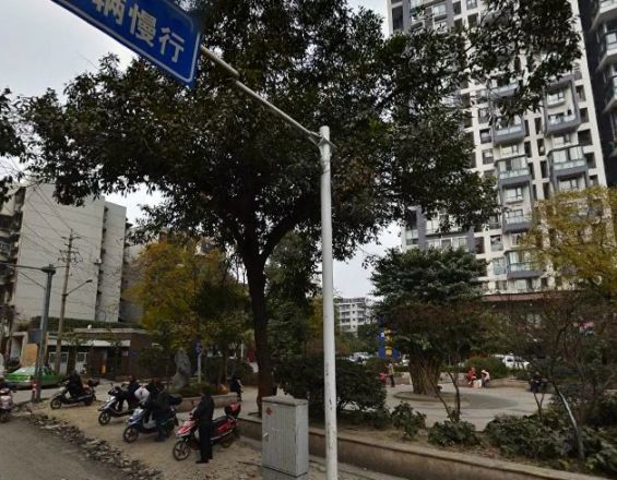 泰基北锦实景图