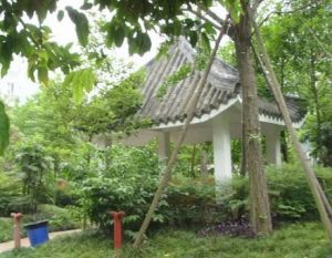 三和南庭3室1厅南北