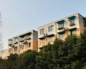 顺江新苑B区1室1厅东东南