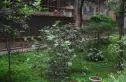 柳苑实景图