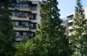 柳苑实景图