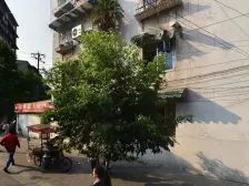 西安北路三巷1号 2室1厅 南