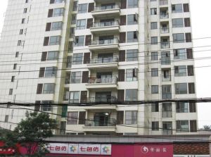 蓝谷领地2室1厅东南