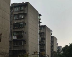 金福苑(金牛)2室1厅南北