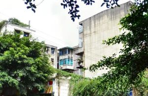 望平街120号3室1厅东南
