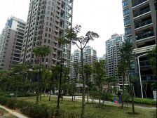 国际华城三房精装楼层好拎包入住看房方便