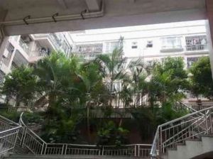 大良中区环城旁茵翠庭电梯8楼三房业主诚意出售