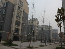 经典两室 诚心出售 采光很好