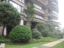 朝东一线河景,户式空调,拎包即住,红橡华园菲莎公馆