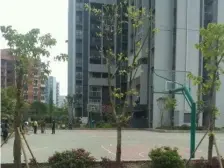 九龙区盘龙商圈二手精装2房,拎包入住