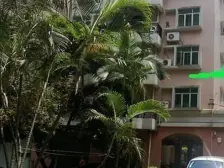 花洲新村4房3卫,全新装修,满五唯一,税费便宜