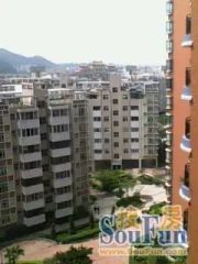 信景花苑4室2厅南
