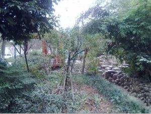 星光四季 4室2厅 南