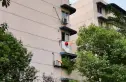 长桂源实景图