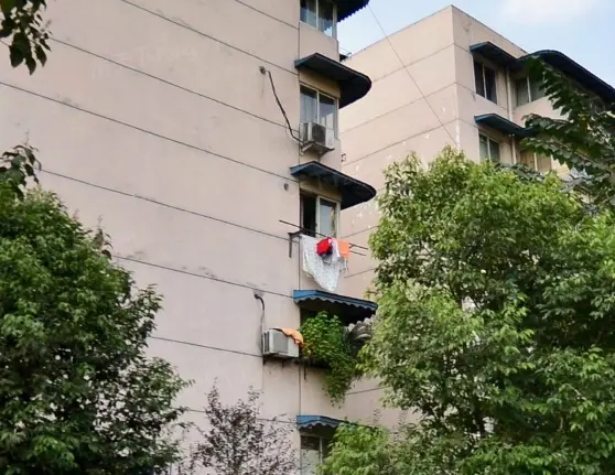长桂源实景图