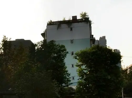 长桂源实景图
