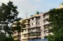 长桂源实景图