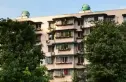 长桂源实景图