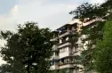 长桂源实景图
