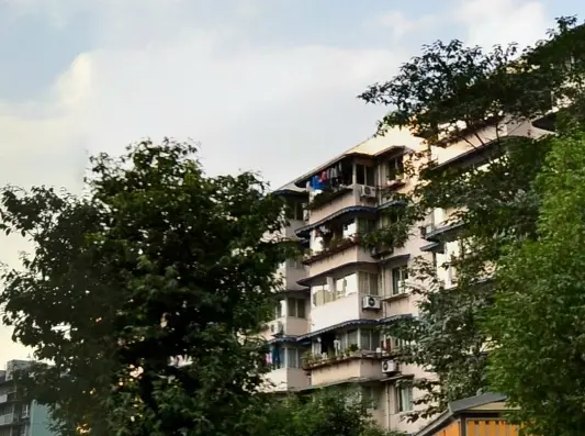 长桂源实景图