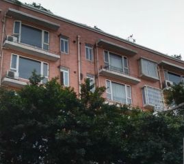 顺福苑3室2厅东南