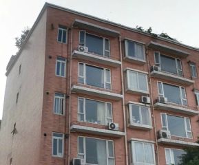 顺福苑3室1厅南
