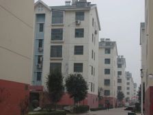 南平花园 南区 6-3-1-3 238平 275万