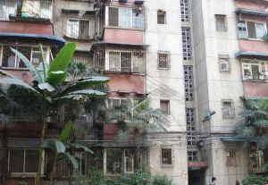 树蓓街1号 3室2厅 南 北