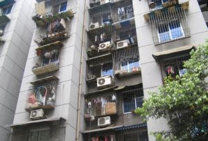 树蓓街1号 2室2厅 东南