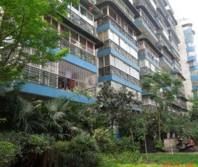 蜀都新城3室1厅东南