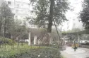 上都实景图