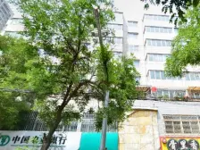 中科院兰州分院科苑一区 1室2厅 东南