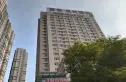 紫菘枫尚国际实景图