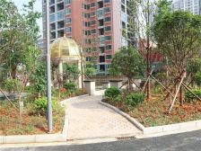 莲花雅苑 3室2厅 东