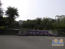 金龙豪爵独栋别墅,3+1结构,花园700平