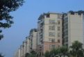 康丽花苑实景图