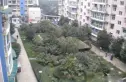自由星城二期实景图
