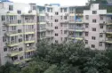 自由星城二期实景图