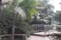 自由星城二期实景图