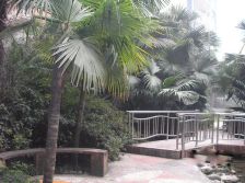 自由星城二期 2室2厅 南