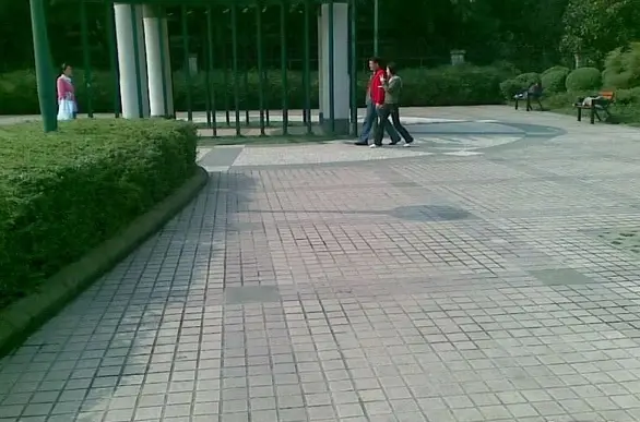 自由星城二期实景图
