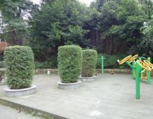 西城雅居2室2厅西南