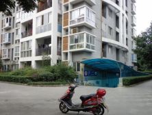 西城雅居1室1厅南