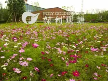 住家安静,户型方正,小区环境优美,交通方便