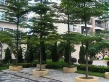 天福苑 3室2厅 西南