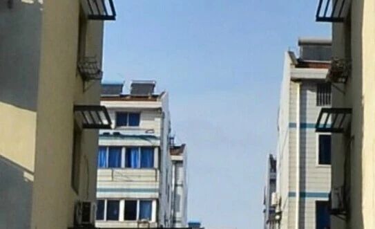 翠西苑实景图